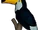 Stuffed Toucan