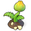 Tomato02