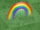 Baby Rainbow