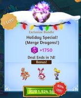 Holiday Special Offer 1