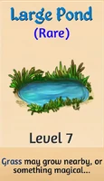 Large Pond
