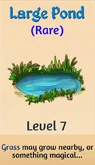 07 large pond