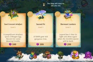 Example of Boutique Shop Offer