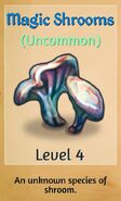 Magic Shrooms?
