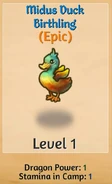 Midus Duck Birthling