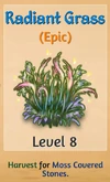 RadiantGrass