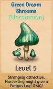 Green Dream Shrooms?