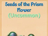 Prism Flowers