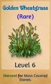GoldenWheatgrass
