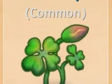 Life Flowers