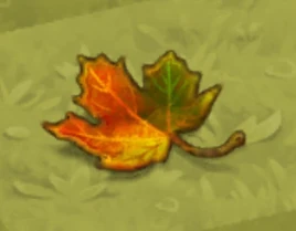 Leaf of a Fruit Tree