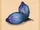 Grimm Seed