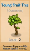 YoungFruitTree