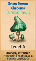Green Dream Shrooms