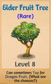 ElderFruitTRee