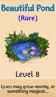 Beautiful Pond