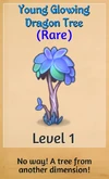 YoungGlowingDragonTree