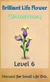 BrilliantLifeFlower