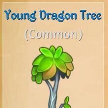 Dragon Trees Merge Dragons Wiki Fandom Use them in commercial designs under lifetime, perpetual & worldwide rights. dragon trees merge dragons wiki fandom