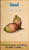 FruitTreeSeed