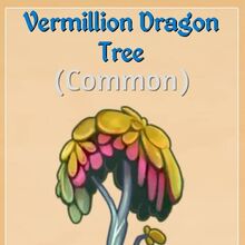 Dragon Trees Merge Dragons Wiki Fandom This amazing succulent, also known as the dragon's blood tree, can grow over 10m high and 15m wide. dragon trees merge dragons wiki fandom