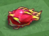 Dragon Fruit