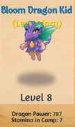 Bloom Dragon Kid