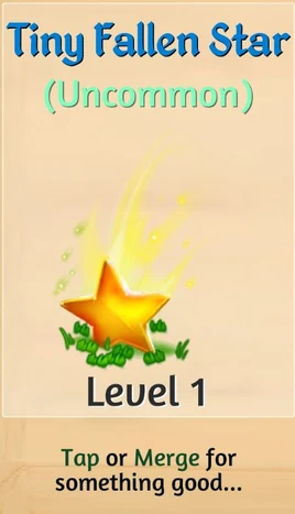 Tiny Fallen Star