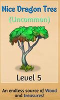 Nice Dragon Tree