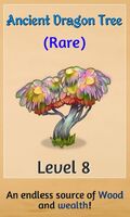 Ancient Dragon Tree