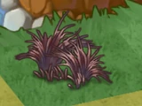 Necromancer Grass