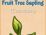 Fruit Tree Sapling