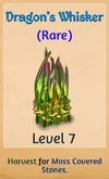 DragonsWhisker
