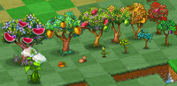 Whole Fruit Tree Family in Game