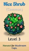03 nice shrub