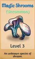 Magic Shrooms