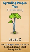 SproutingDragonTree