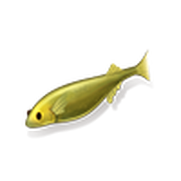 Fish, Merge Survival: Wasteland Wiki