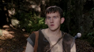 Merlin3x1100001