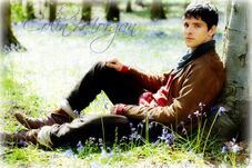 Colinmorgan3