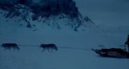 Wolves pulling sleigh