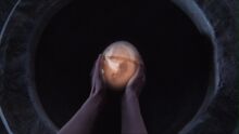 Cap31