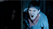 Raa.png