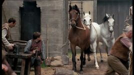 Horse