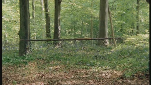 Merlin magically sends a spear against the boar.