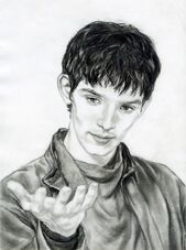 Merlin my drawing