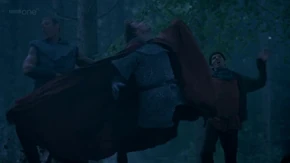 Morgana casts a stunning spell on the fugitives.