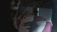 Odin's son