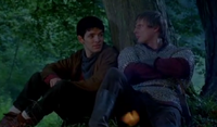 Merlin268.png