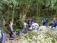 Puzzlewood, 31 May 2012 - pic by Youbreccia